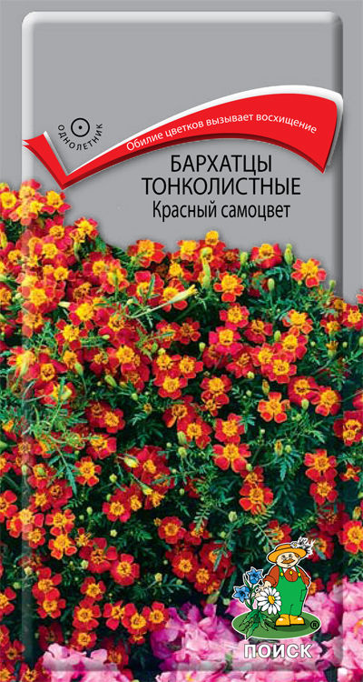 Бархатцы тонколистные Красный самоцвет (ЦВ) ("1) 0,1гр.