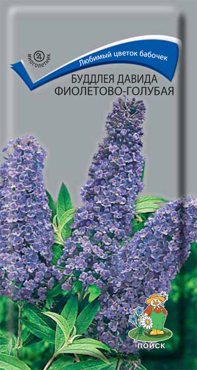 Буддлея Давида Фиолетово-голубая  (ЦВ) ("М) 0,01гр.