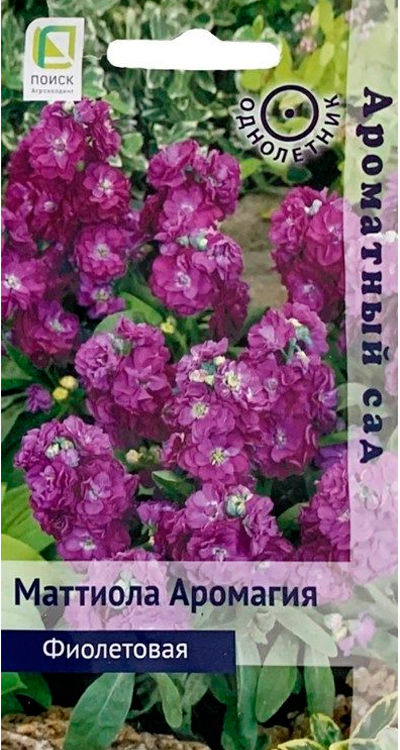 Маттиола Аромагия Фиолетовая 10шт (Ароматный сад)