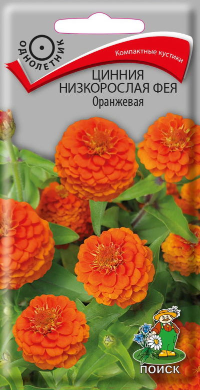 Цинния низкорослая Фея Оранжевая (ЦВ) ("1) 0,1 гр.